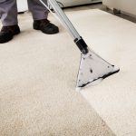 11 Reasons Why You Should Use A Professional Carpet Cleaner for Carpet Cleaning Ipswich