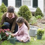 Choosing a Project for Your Garden