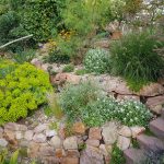 What Not to Overlook in Your Utah Landscape Design