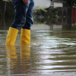 How to Drain a Flooded Yard 3 Smart Draining Strategies That Work