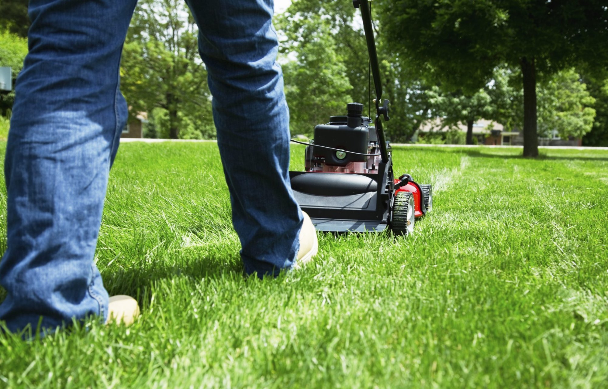 lawn care services in Fargo